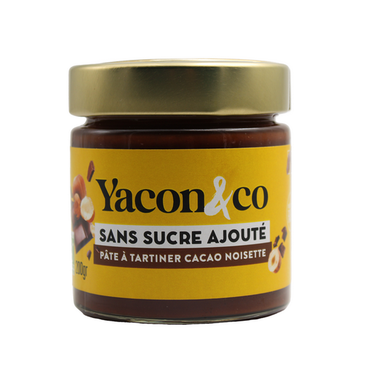 Yacon & Co -- Pâte à tartiner cacao noisette bio - 200 g