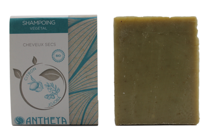 Antheya -- Shampoing solide sauge/ortie - cheveux secs (bande papier) - 100 g